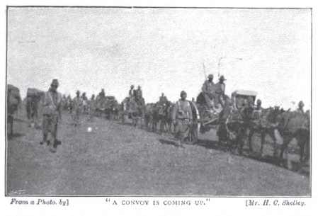 File:Glimpse-army-strand-sept-1900-8.jpg