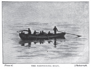 The harpooning boat.