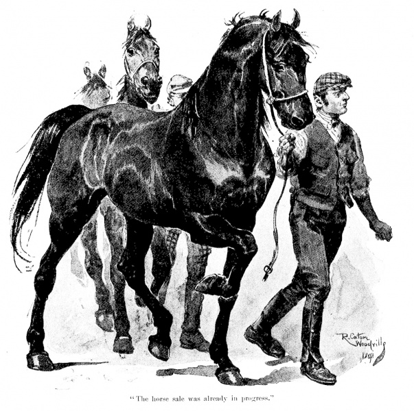 File:The-windsor-magazine-1898-12-a-shadow-before-p52-illu.jpg