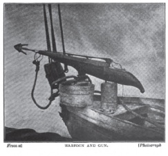 Harpoon and gun.