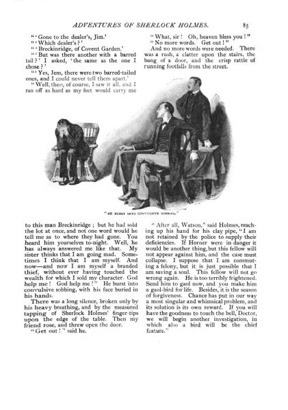 File:The-strand-magazine-1892-01-the-adventure-of-the-blue-carbuncle-p85.jpg