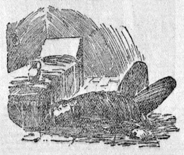 Stangerson's corpse (29 november 1890)
