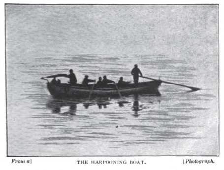 File:Greenland-whaler-strand-jan-1897-5.jpg