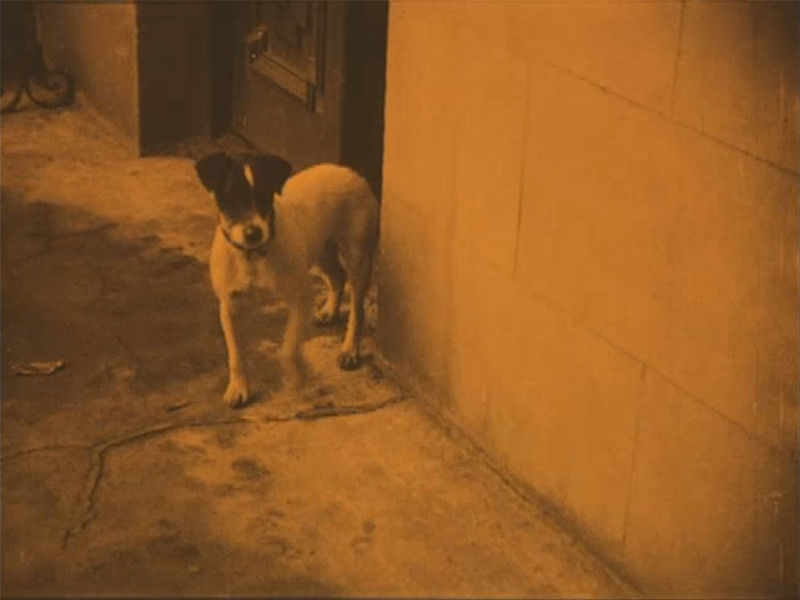 File:1912-a-canine-sherlock-holmes-03.jpg