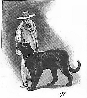 File:Brazilian-cat-strand-dec-1898-4.jpg