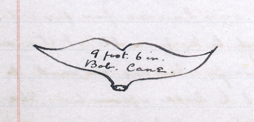 File:Acd-log-of-the-ss-hope-vol3-p26-illu.jpg