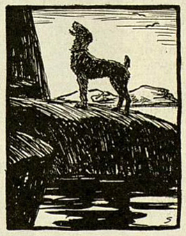 File:Liberty-magazine-1926-11-27-the-lion-s-mane-p22-illu.jpg