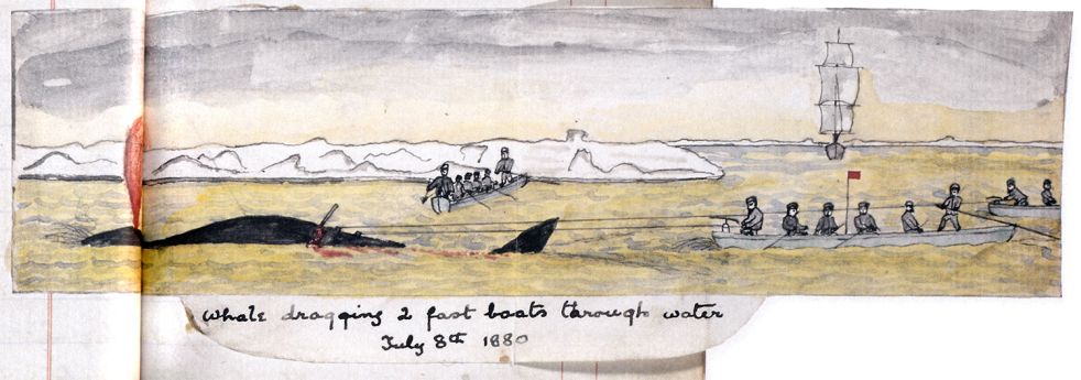 Arthur Conan Doyle's illustration about his whale hunting (1880).