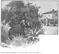 Thumbnail for version as of 02:20, 9 December 2012