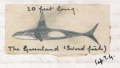 Thumbnail for version as of 16:47, 1 May 2018