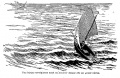 Thumbnail for version as of 00:46, 15 January 2017