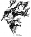 Thumbnail for version as of 17:31, 21 October 2017