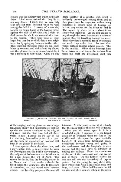 File:The-strand-magazine-1897-01-p20-life-on-a-greenland-whaler.jpg