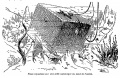 Thumbnail for version as of 00:47, 15 January 2017