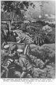 Thumbnail for version as of 16:06, 29 March 2017