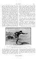 Thumbnail for version as of 16:46, 20 October 2024