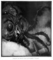 Thumbnail for version as of 18:22, 30 September 2022