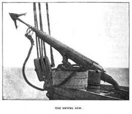 The swivel gun (photo)