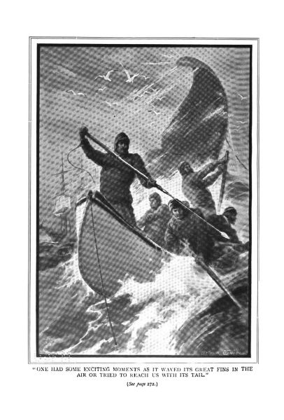 File:The-strand-magazine-1909-09-p270-some-recollections-of-sport.jpg
