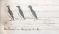 Thumbnail for version as of 16:47, 1 May 2018