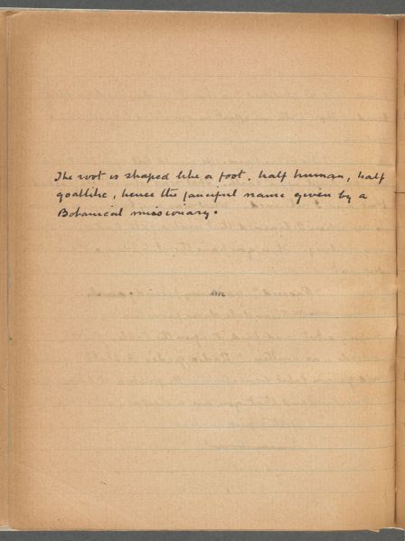 File:Manuscript-the-devil-s-foot-p50b.jpg