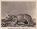 Thumbnail for version as of 21:49, 21 June 2016