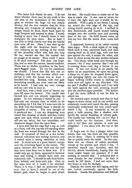 File:The-strand-magazine-1898-12-the-story-of-the-brazilian-cat-p611.jpg
