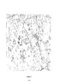 Thumbnail for version as of 15:54, 24 February 2026