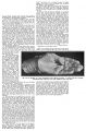 Thumbnail for version as of 03:21, 15 February 2020