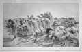 Thumbnail for version as of 23:24, 5 January 2017