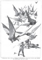 Thumbnail for version as of 13:02, 7 March 2013