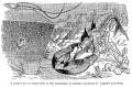 Thumbnail for version as of 00:48, 15 January 2017