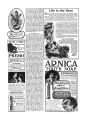 Thumbnail for version as of 13:36, 4 June 2023