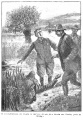 Thumbnail for version as of 23:49, 3 February 2019