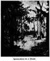 Thumbnail for version as of 17:31, 21 October 2017