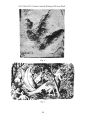 Thumbnail for version as of 00:24, 20 March 2026