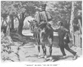 Thumbnail for version as of 13:12, 9 December 2012