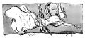 Thumbnail for version as of 01:06, 13 January 2021