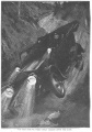 Thumbnail for version as of 22:49, 3 March 2013