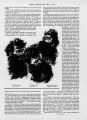 Thumbnail for version as of 22:10, 21 October 2024