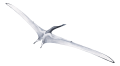 Thumbnail for version as of 11:34, 3 May 2026