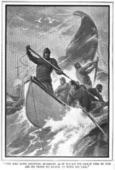 Whale hunting in Arctic (1880).