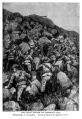 Thumbnail for version as of 23:00, 2 October 2024