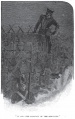 Thumbnail for version as of 02:31, 8 December 2012
