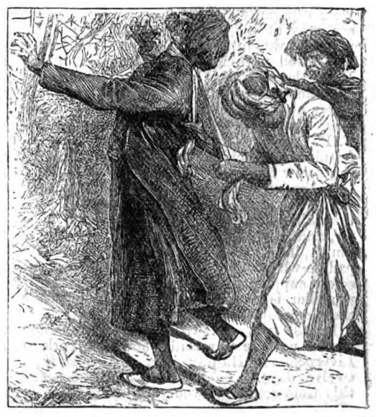 File:The-boy-s-own-paper-1887-02-19-p331-uncle-jeremy-s-household-illu.jpg