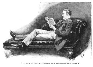 I tried to interest myself in a yellow-backed novel.