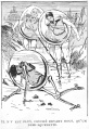 Thumbnail for version as of 18:35, 12 February 2017