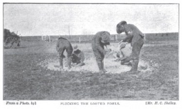 Plucking the looted fowls.