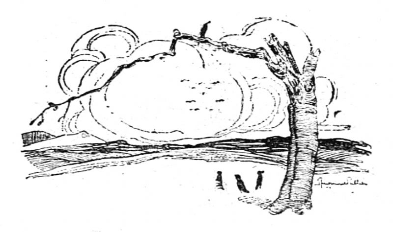 File:Le-petit-journal-illlustre-1921-10-30-p523-illu4.jpg