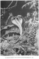 Thumbnail for version as of 10:59, 2 April 2017